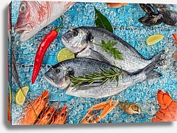 Постер Свежая рыба и морепродукты