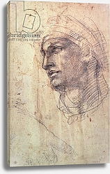 Постер Микеланджело (Michelangelo Buonarroti) Study of a Head 2