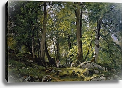 Постер Шишкин Иван Буковый лес в Швейцарии