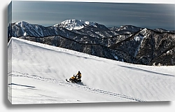Постер Человек на снегоходе едет по заснеженным просторам