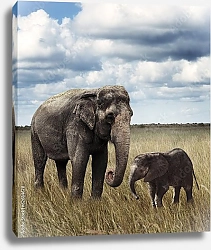 Постер Слон со слоненком в поле