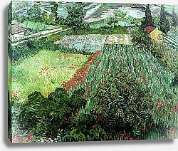 Постер Ван Гог Винсент (Vincent Van Gogh) Field with Poppies, 1889