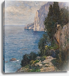 Постер Венк Альберт Felsenküste auf Capri