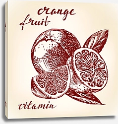 Постер Эскиз с апельсином
