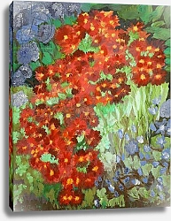 Постер Дуггал Козима (совр) Cornish flowers