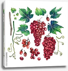 Постер Акварельные гроздья красного винограда