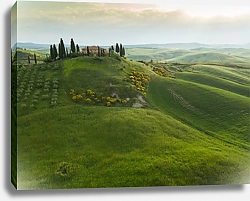 Постер Холмы Тосканы, Италия