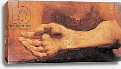 Постер Жерико Теодор Study of a Hand and Arm