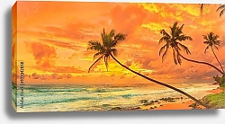 Постер Шри-Ланка. Побережье с оранжевым закатом