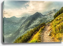 Постер Путь в горах