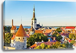 Постер Эстония, Таллин. Крыши старого города