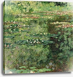Постер Моне Клод (Claude Monet) The Waterlily Pond, 1904