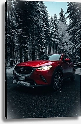 Постер Красный автомобиль в зимнем лесу