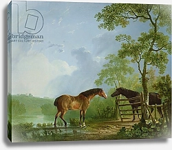 Постер Гилпин Соури (лошади) Mare and Stallion in a Landscape