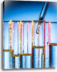 Постер Цветные стеклянные пробирки для лаборатории