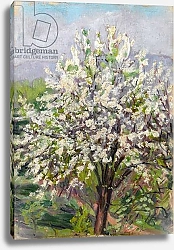 Постер Стадд Артур Almond blossom