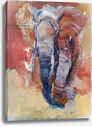 Постер Адлингтон Марк (совр) Elephant, 2018,