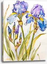 Постер Irises in blossom