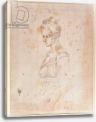 Постер Микеланджело (Michelangelo Buonarroti) W.41 Sketch of a woman