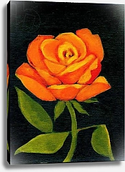 Постер Мур Меган (совр) Orange Rose