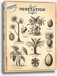 Постер Тропические растения и экзотические фрукты