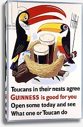 Постер Школа: Английская 20в. Toucans in their nests agree Guinness is good for you, 1957