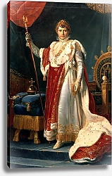 Постер Жерар Франсуа Napoleon Bonaparte