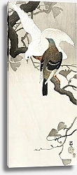 Постер Два голубя на ветке (1900 - 1910)