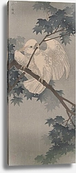 Постер Косон Охара Yellow crested cockatoo in tree