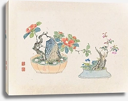 Постер Неизвестен Bonsai kabenzu, Pl.04