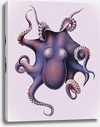 Постер Винтажная цветная иллюстрация осьминога