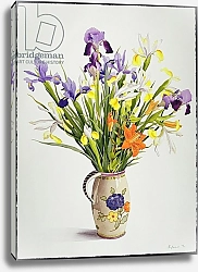 Постер Рэйленд Кристофер (совр) Irises and Lilies in a Dutch Jug