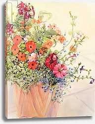 Постер Фивси Джоан (совр) Petunias, Lobelias, Busy Lizzies and Fuschia in a Terracotta Pot