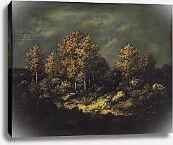 Постер Диаз ла Пенья The Jean de Paris Heights in the Forest of Fontainebleau, 1867