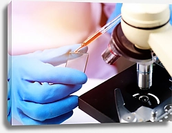 Постер Учёный проверяет химической состав жидкости в микроскоп