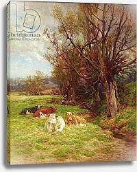 Постер Адамс Чарльз Cattle grazing