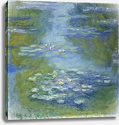 Постер Моне Клод (Claude Monet) Waterlilies, 1907