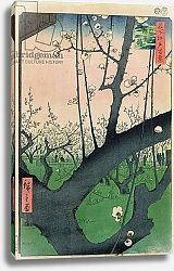 Постер Утагава Хирошиге (яп) Branch of a Flowering Plum Tree