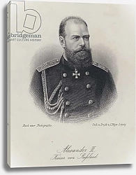 Постер Школа: Немецкая школа (19 в.) Tsar Alexander III of Russia