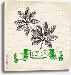 Постер Иллюстрация с тропическими листьями