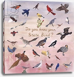 Постер Нельсон Джо (совр) Do You Know Your State Bird?, 1996