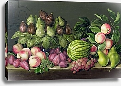 Постер Клейзер Амелия (совр) Figs, melon and gooseberries, 1998