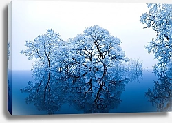 Постер Зимние деревья