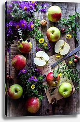 Постер Садовые яблочки, полевые цветы, орехи и ноты на столе