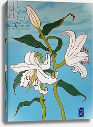 Постер Джоэл Тимоти White lily on a blue background, 2010, oil on wood
