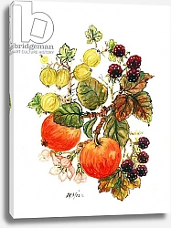 Постер Хилл Нейл Brambles, Apples and Grapes