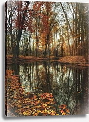 Постер Река в осеннем лесу 6
