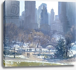 Постер Берроу Джулиан (совр) Winter in Central Park, New York, 1997