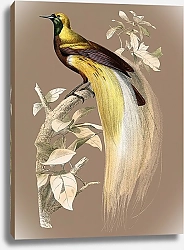 Постер Большая райская птица на бежевом фоне