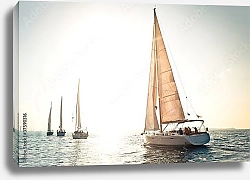 Постер Группа яхт с белыми парусами